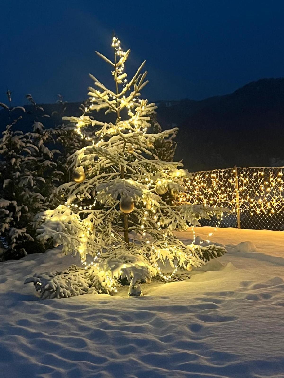 Chalet Tschattlhof Dolomites Кавалезе Екстериор снимка