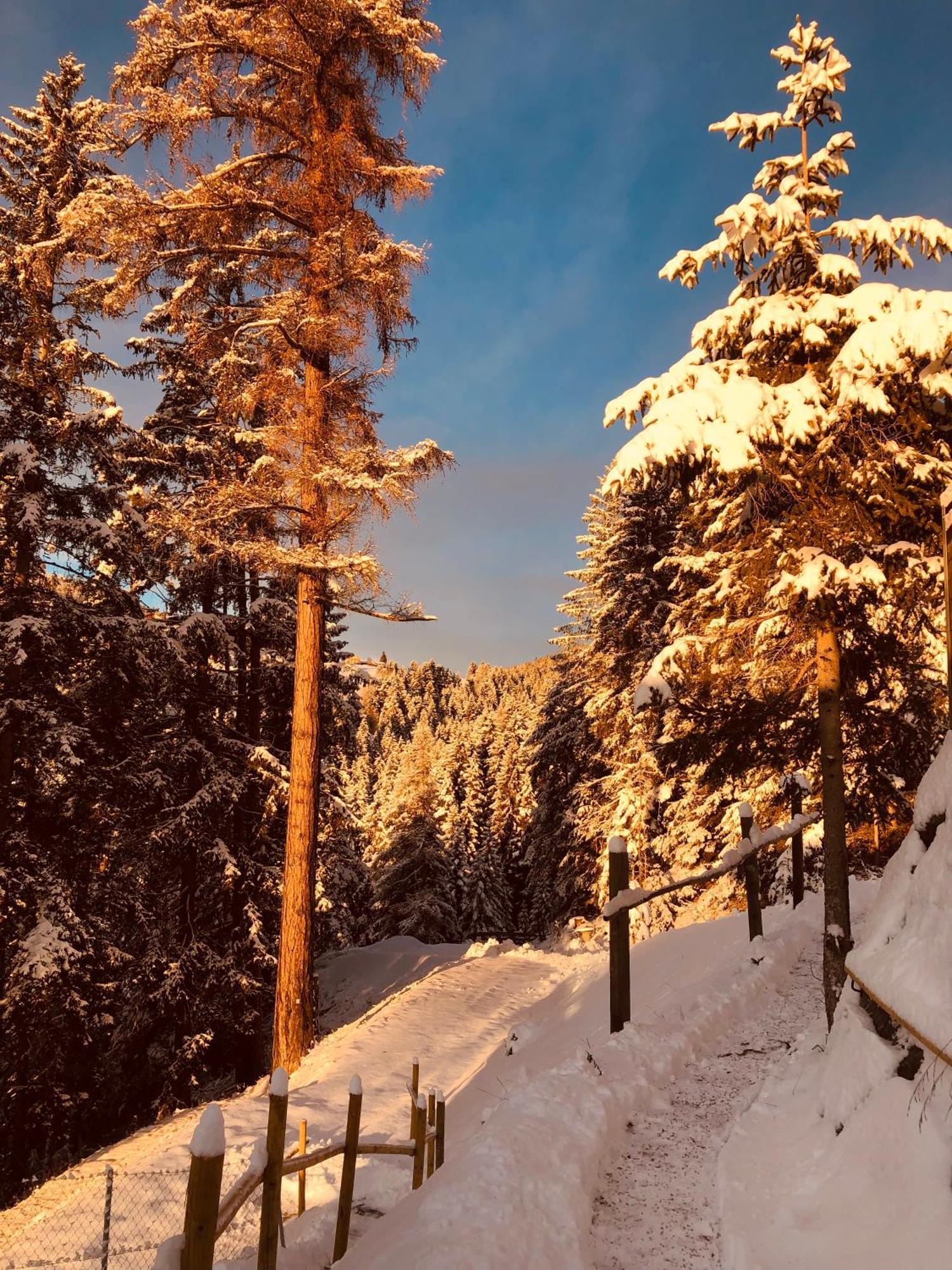 Chalet Tschattlhof Dolomites Кавалезе Екстериор снимка